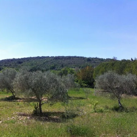Holiday home Lovely With Terrace And Garden,