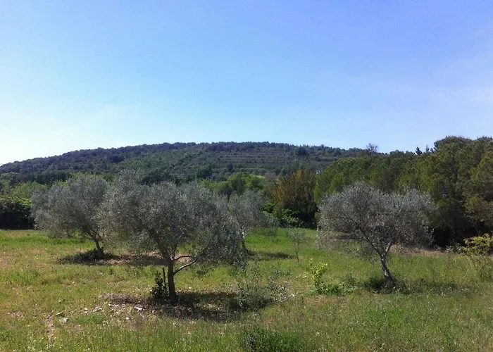 Vakantiehuis In Orb Mountains Near Salagou